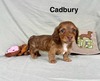 Cadbury
